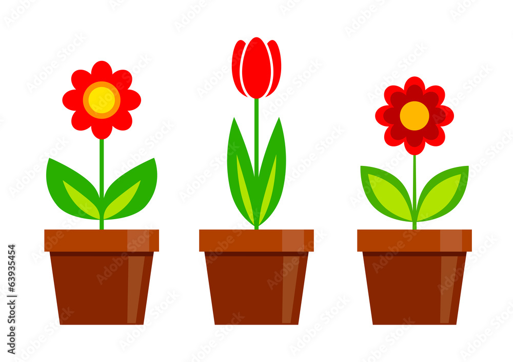 Red flowers on white background