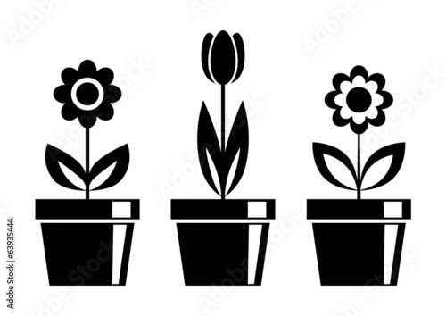 Fototapeta Naklejka Na Ścianę i Meble -  Black flower icons on white background