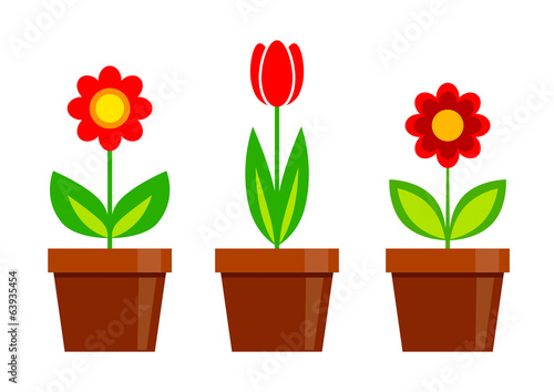 Fototapeta Naklejka Na Ścianę i Meble -  Red flowers on white background