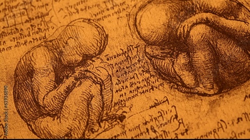 14th century anatomy art by Leonardo Da Vinci   