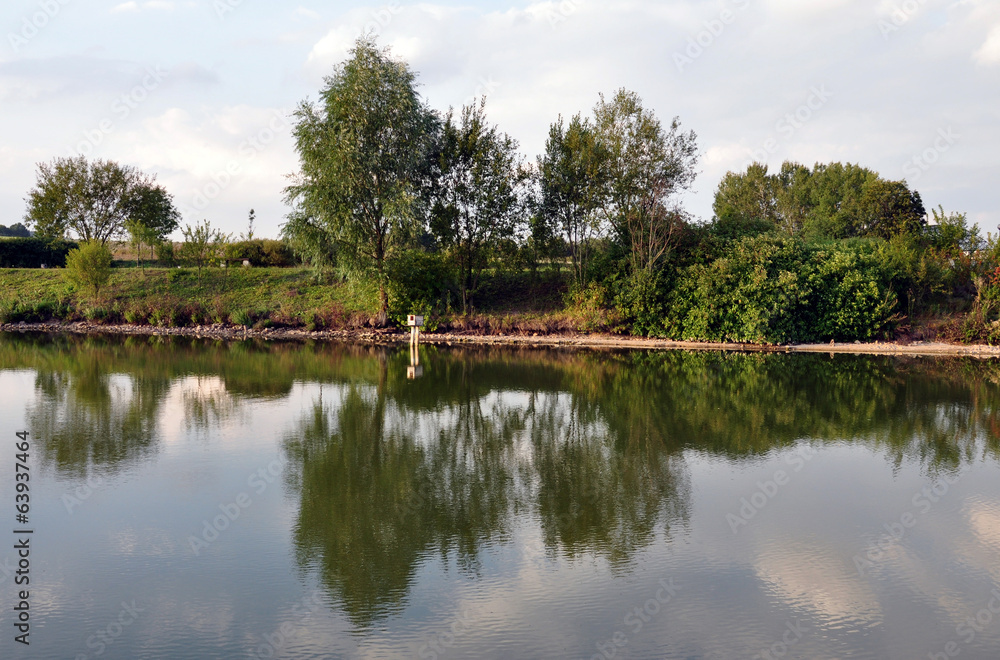 Obraz premium tree reflection on the water surface of the lake