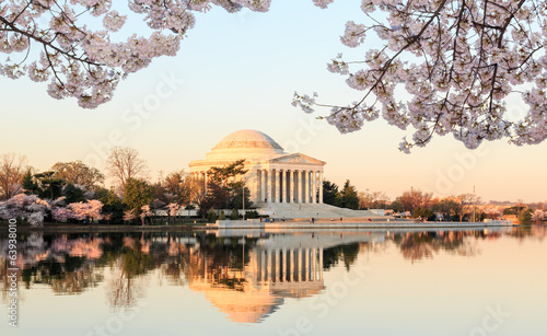 Fototapeta Beautiful early morning Jefferson Memorial