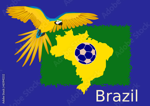 Flagge Brasilien und Papagei