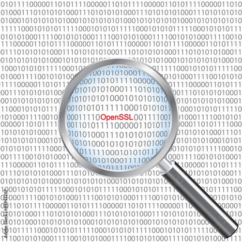 Illustration of the OpenSSL heartbleed bug under a magnifier