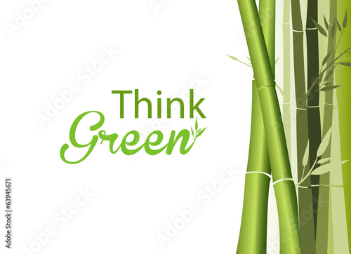 think green concept  giant green bamboo on white background
