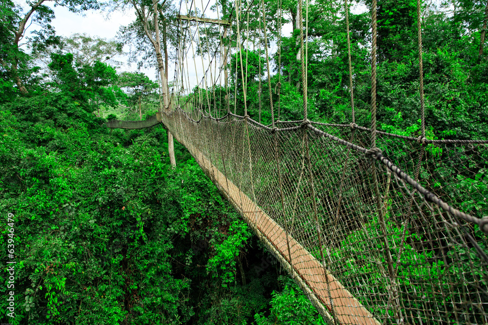 Kakum National Park, Ghana, West Africa Kakum National Park, Ghana, West Africa