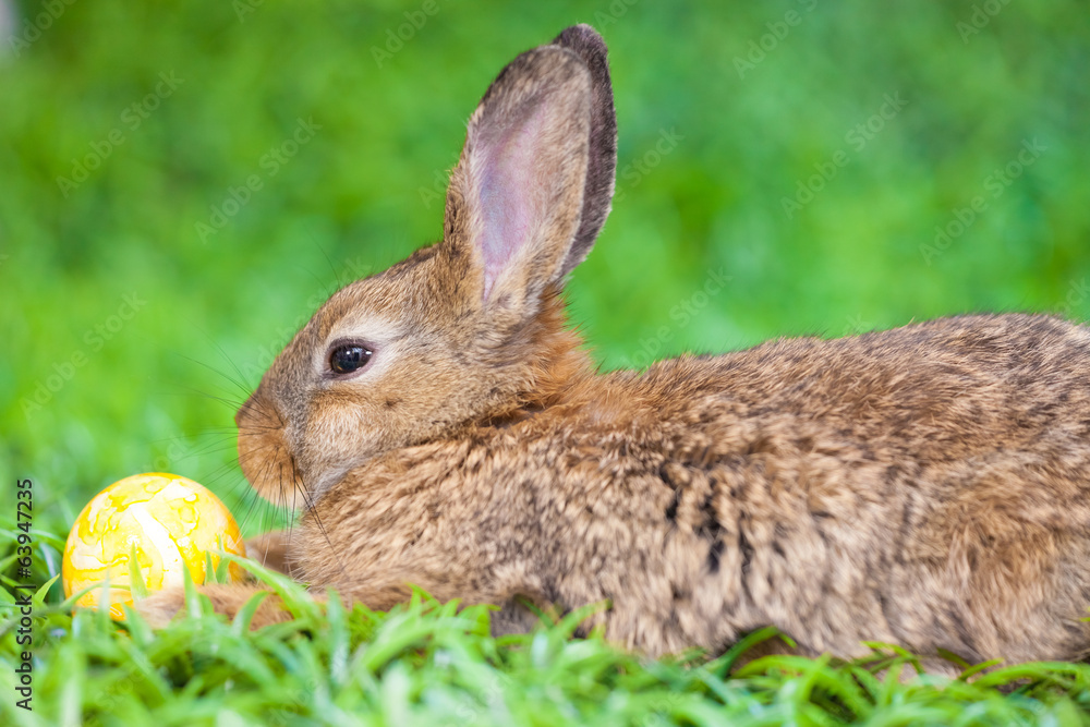 Easter Easter