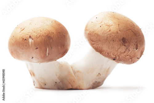 Two mushrooms on white background
