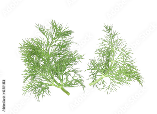 Dill herb leaves.