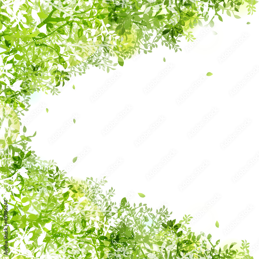 Fototapeta premium 光りと緑の葉