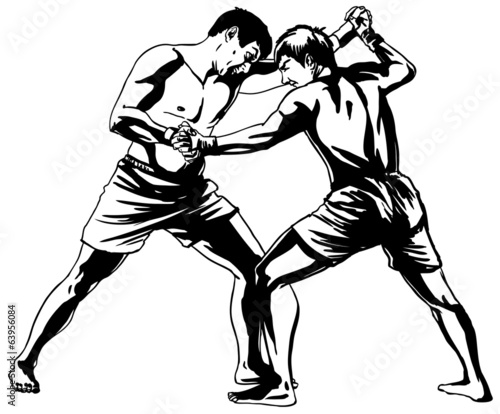 Mixed martial arts (MMA)