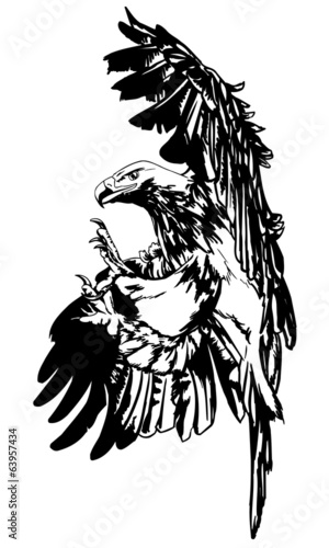 Eagle