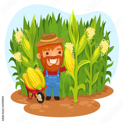 Harvesting Farmer In a Cornfield