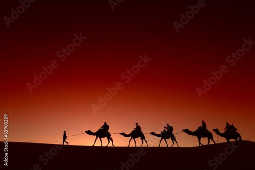 Camel caravan going through the desert