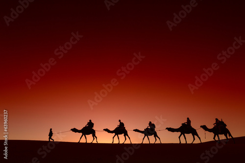 Camel caravan going through the desert