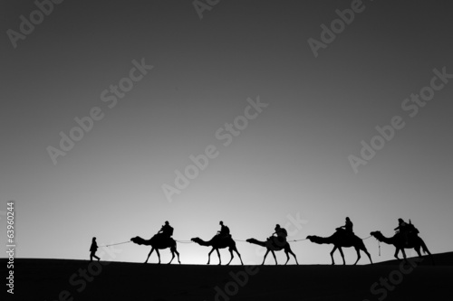 Camel caravan going through the desert black and white