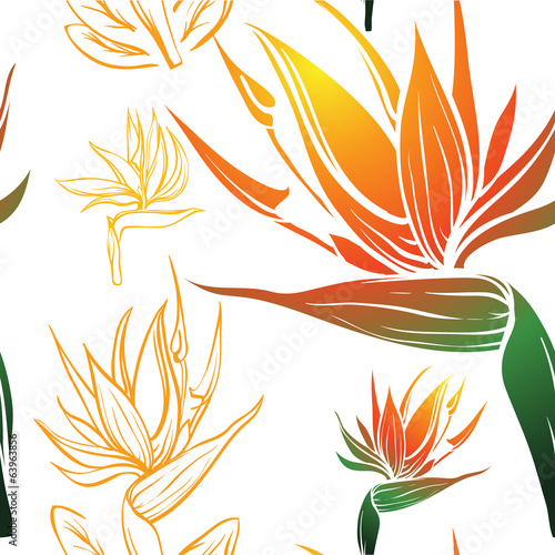 bird of paradise exotic tropic flower seamless texture