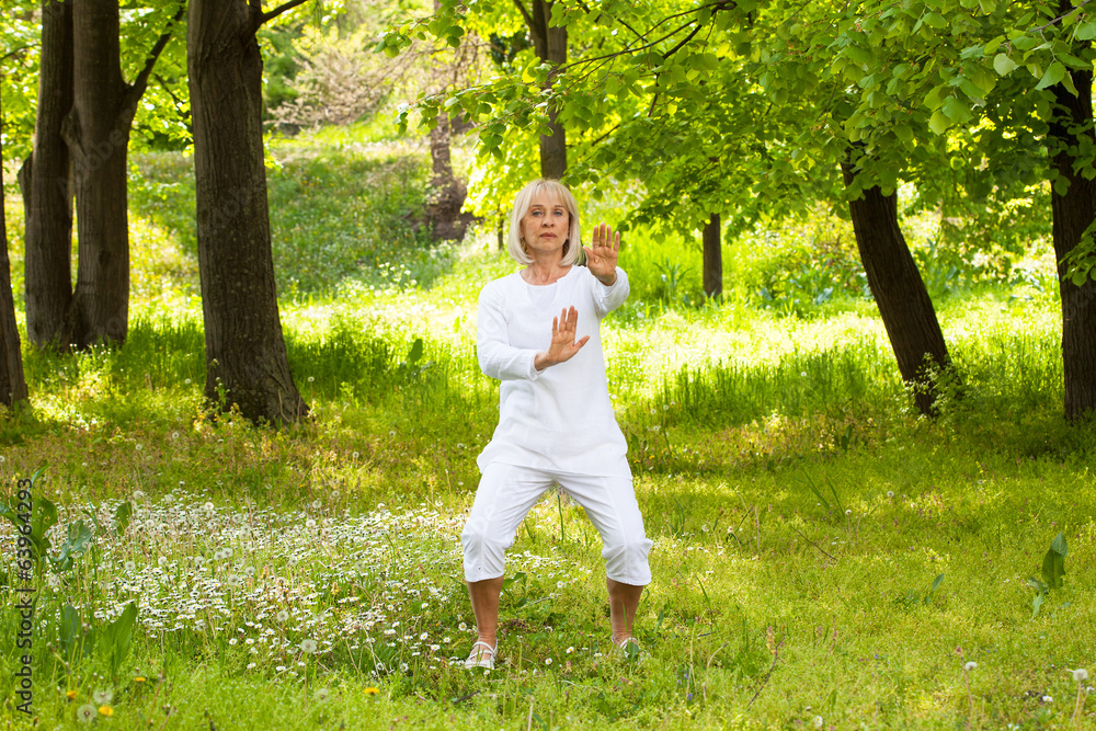 adult woman exercising in the park adult woman exercising in the park