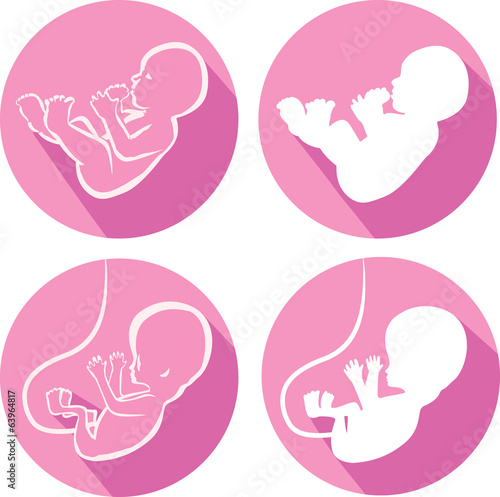 Fetus and baby icon