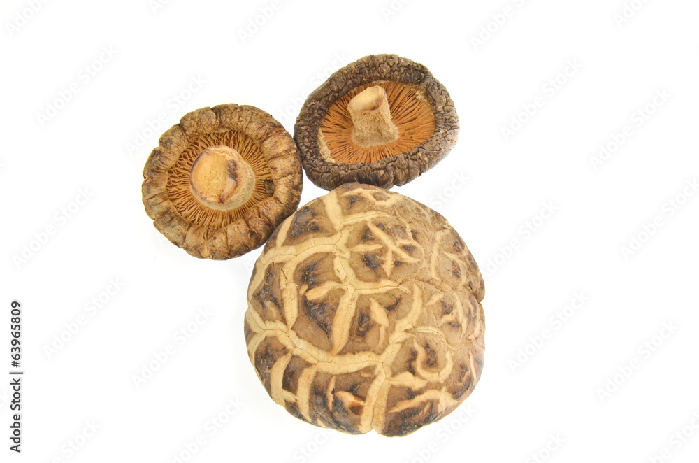 Dried mushrooms Dried mushrooms