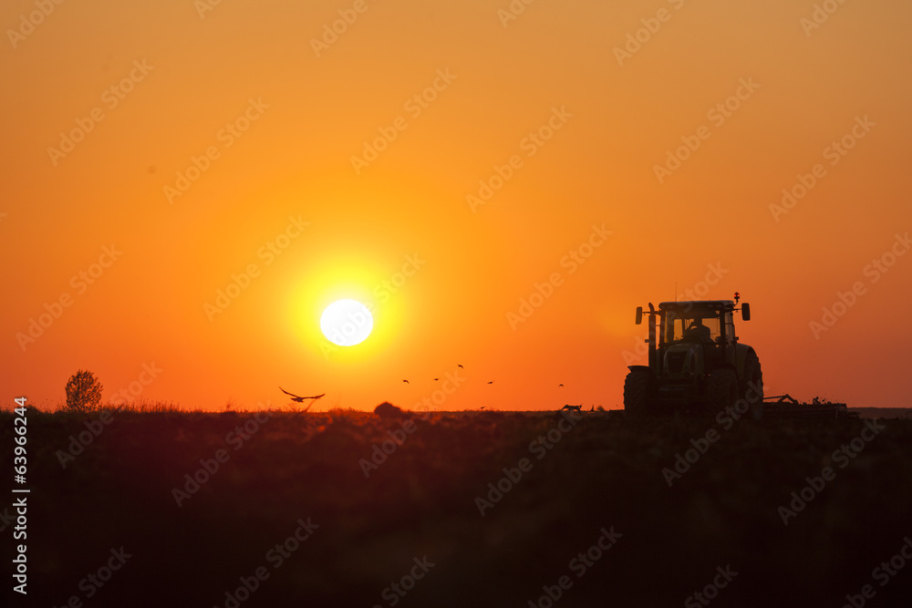 Tractor Plowing in dusk on sunset with crows