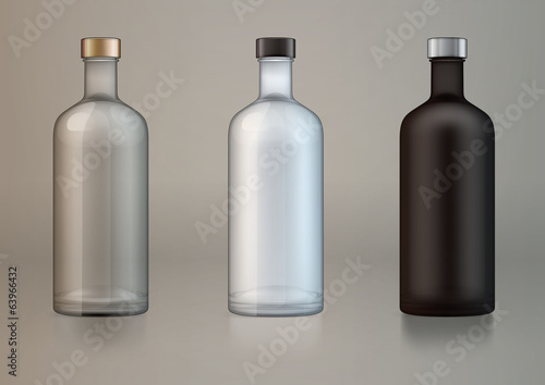 vector blank alcohol bottles for new design