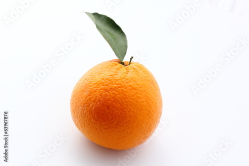 Belle orange