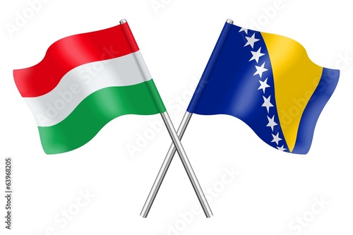 Flags : Hungary and Bosnia-Herzegovina