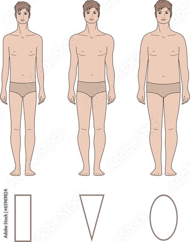 Vector illustration of male figure. Body types
