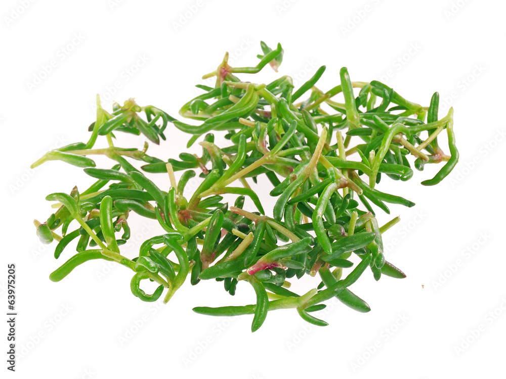 Fototapeta premium herbs and spices