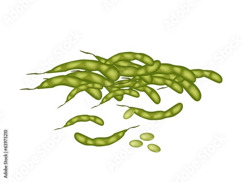 A Stack of Delicious Fresh Green Soybeans