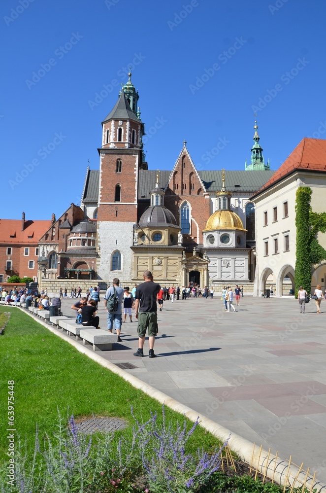 Obraz premium Château royal du Wawel,Cracovie