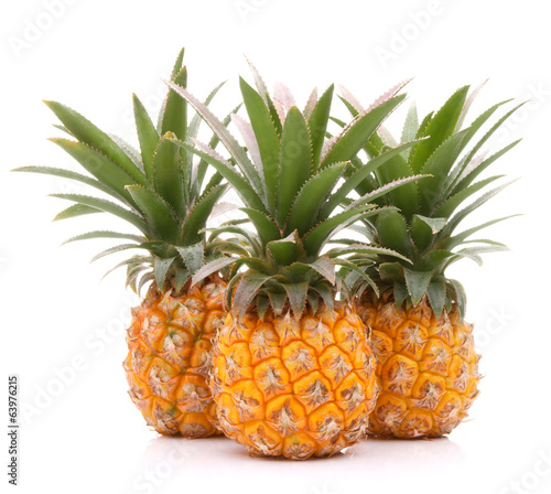 Pineapple tropical fruit or ananas