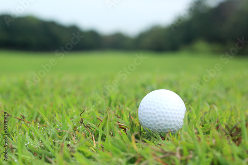 Golf ball lying in the fairway