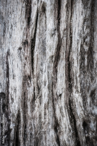 grunge wooden texture