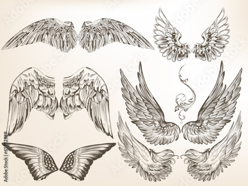 Collection of vector hand drawn wings for design
