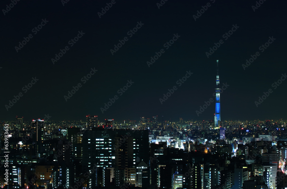 東京の夜景とスカイツリー