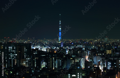 東京の夜景とスカイツリー