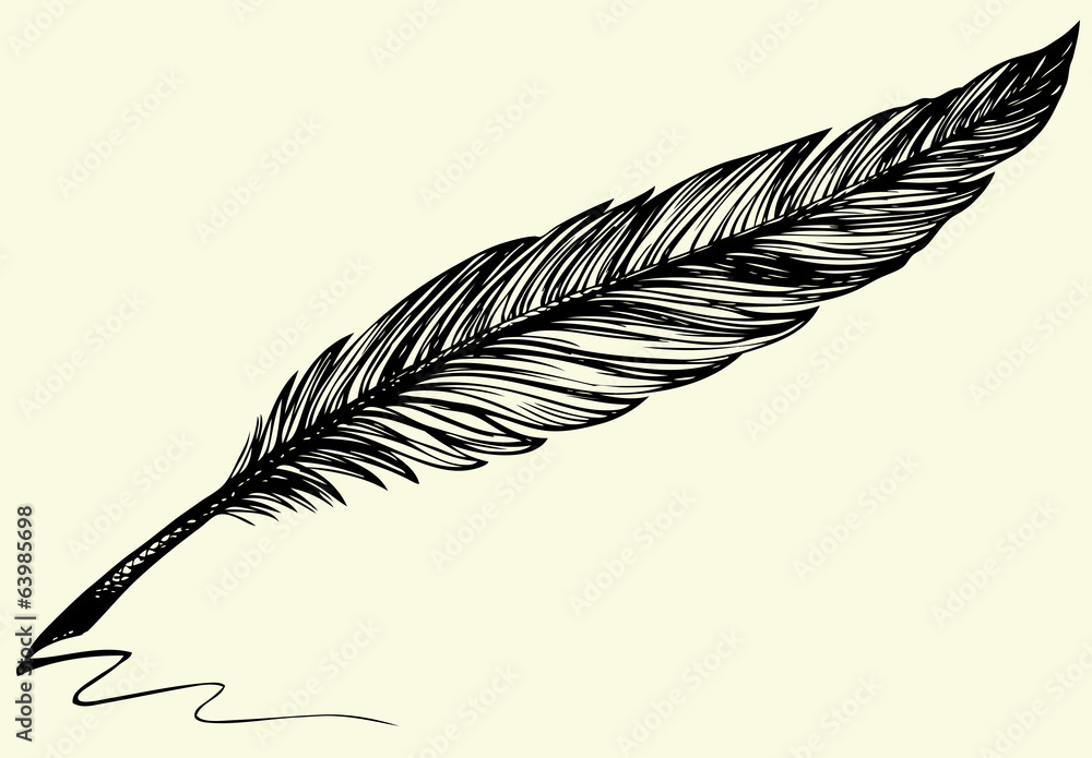 Two hand drawn bird feathers Royalty Free Vector Image