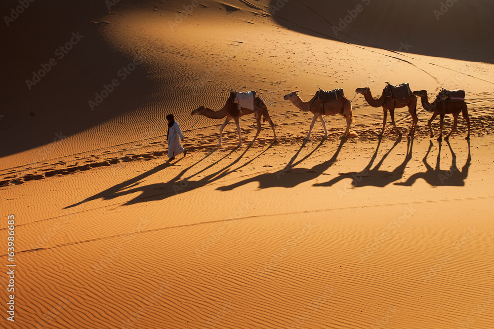 Desert Sahara, Camel Ride Caravan, Enjoying and happy People - obrazy, fototapety, plakaty 