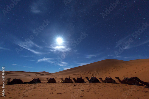Camp in Sahara Desert in night with moon as star and moving star
