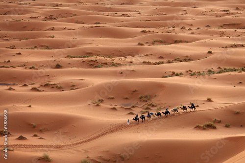 Desert Sahara  Camel Ride Caravan  Enjoying and happy People
