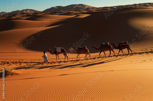 Desert Sahara, Camel Ride Caravan, Enjoying and happy People