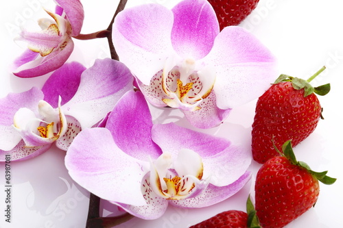 Orchidea e fragole photo