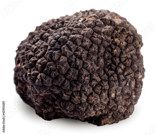 Black truffle on a white background.