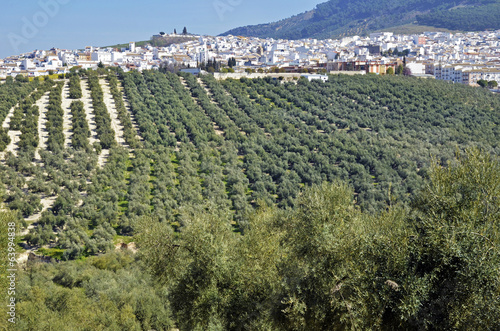 Panoramic view of Rute, Cordoba (Spain)