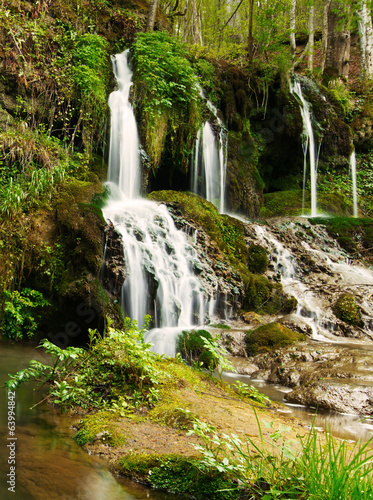 Waterfall in the forest