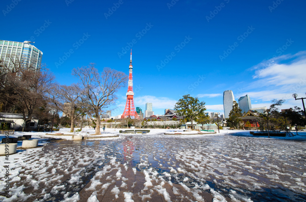 Fototapeta premium Tokyo Tower