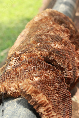 Honeycomb on the steel pipe
