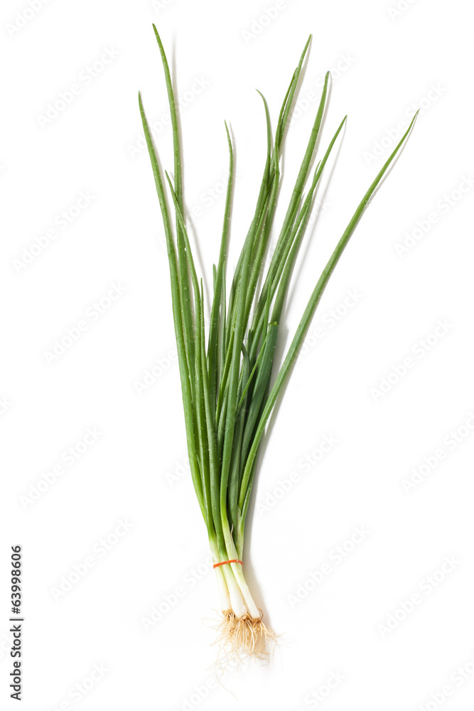 Bunch Of Onion - Stock Photo